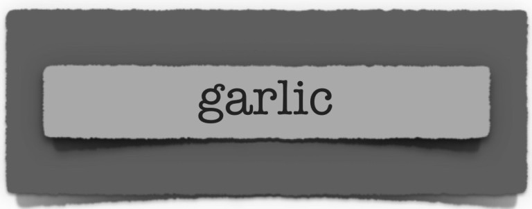 lenten journal: garlic