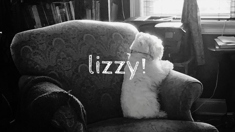 lizzy!