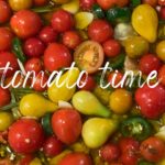 tomato time
