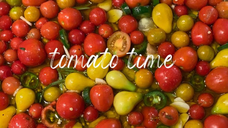 tomato time