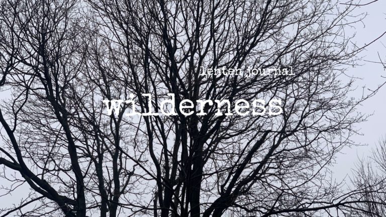 lenten journal: wilderness