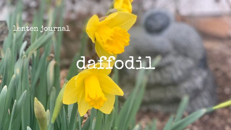 lenten journal: daffodil