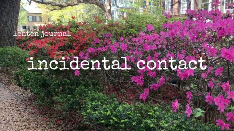 lenten journal: incidental contact