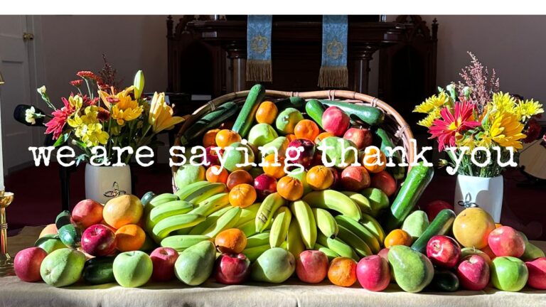 we are saying thank you . . .