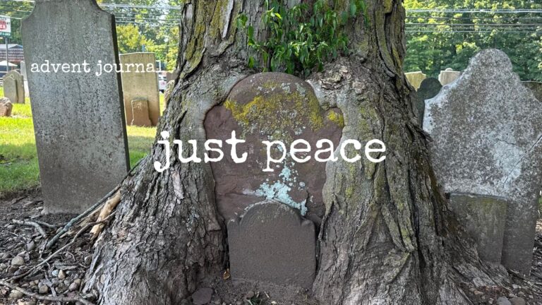 advent journal: just peace