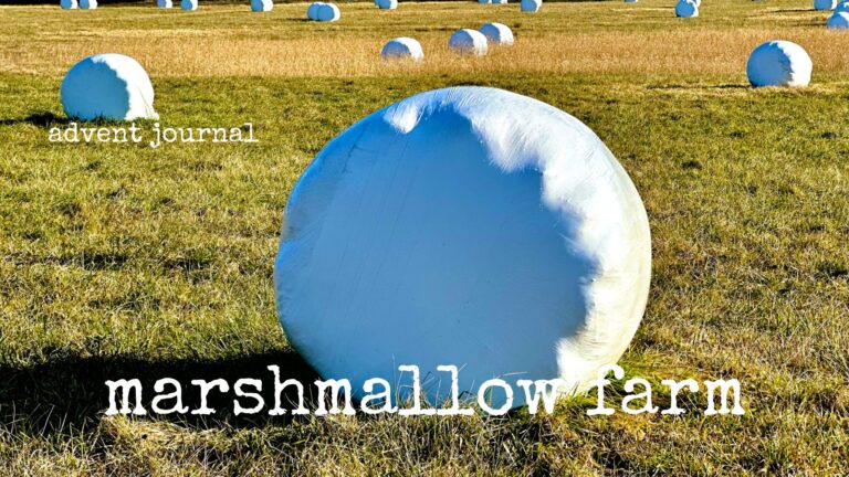 advent journal: marshmallow farm