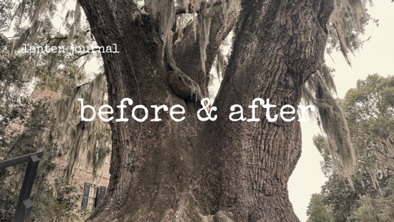 lenten journal: before & after