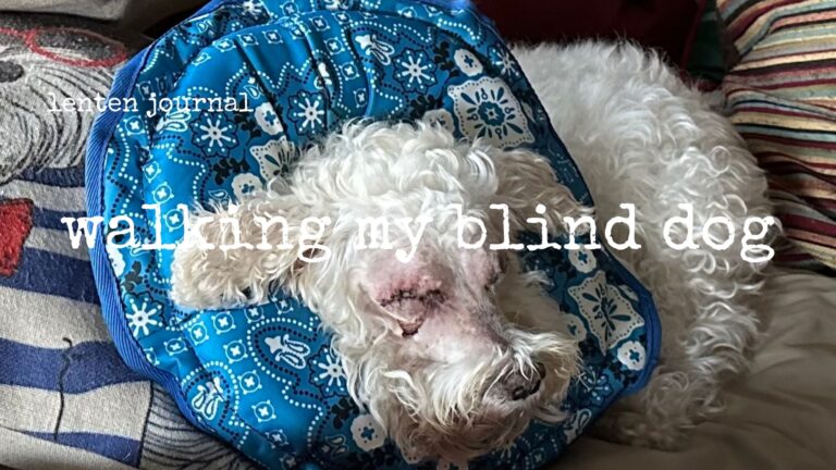 lenten journal: walking my blind dog