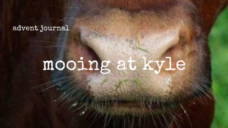 advent journal: mooing at kyle