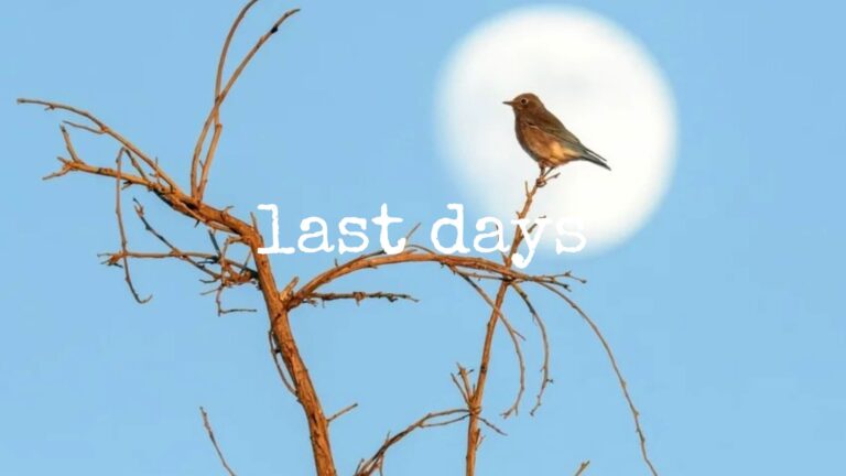 last days