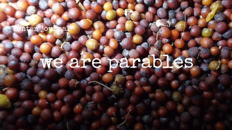 lenten journal: we are parables