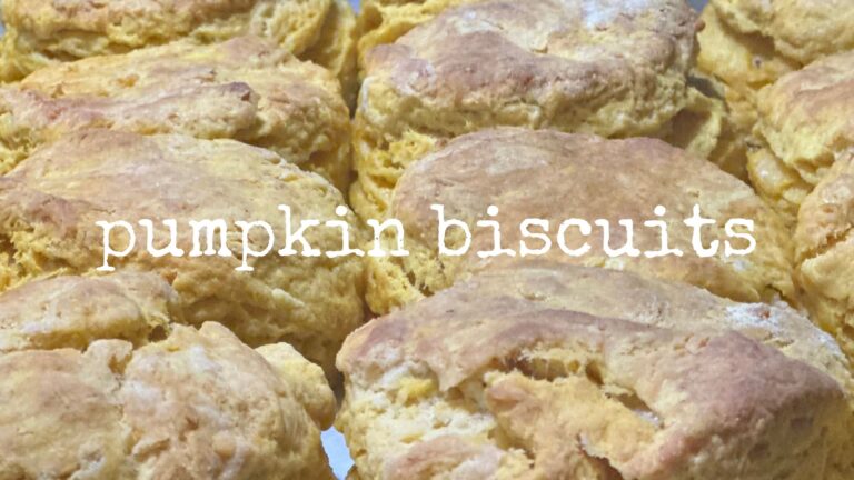 pumpkin biscuits
